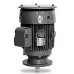 Baldor Vertical Solid Shaft Motor Image