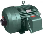 Baldor Inverter/Vector Duty Motor Image