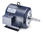 Leeson Close-Coupled Pump Motor Image