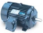 Leeson Explosion Proof Motor Image