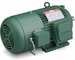 Leeson Inverter/Vector Duty Motor Image