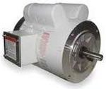 Marathon Washdown Duty Motor Image