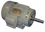 Sterling Close-Coupled Pump Motor Image