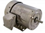 Sterling Washdown Motor Image