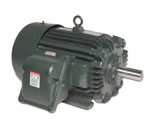 Explosion Proof Motor