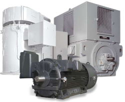 Medium Voltage Motors