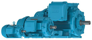 WEG General Purpose Motors Image